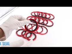 Guarnizioni di punto della guarnizione HBTS di SPGO Glyd